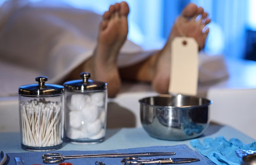 Geheimnisse der Pflege von Kühlräumen für Bestattungen – Prüfen Sie, ob Sie es richtig machen!
